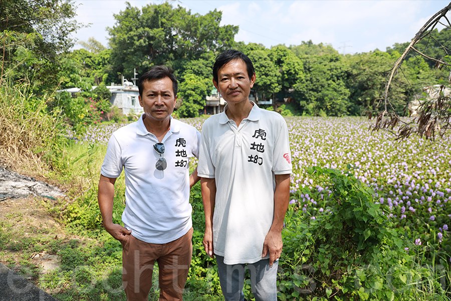 上水虎地㘭居民福利會主席廖志協(左)與村民列安邦(右)合作無間,常常帶領導賞團介紹虎地㘭的歷史與生態。(陳仲明/大紀元)